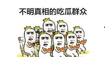 看热闹 吃瓜,看热闹与吃瓜的欢乐时光